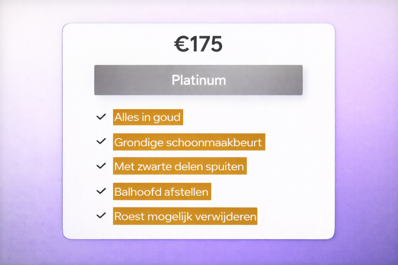 Onderhoud Diensten voor uw Fatbike Platinuim